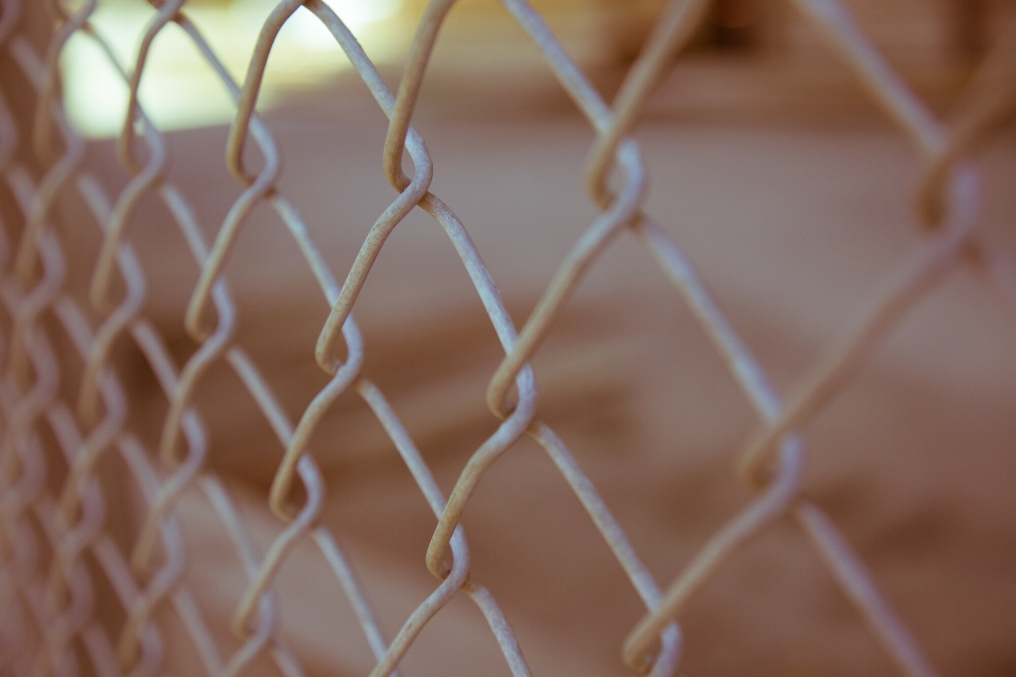 The Most Popular Chain Link Fence Colors, Revealed