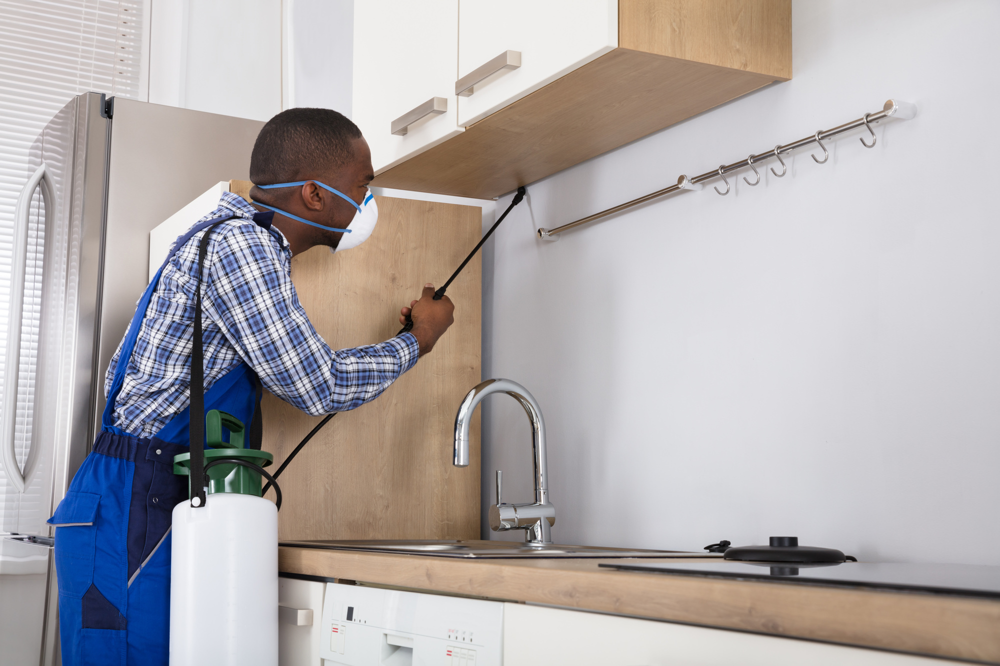 Pest Management: Simple Ways to Keep Your Home Bug Free